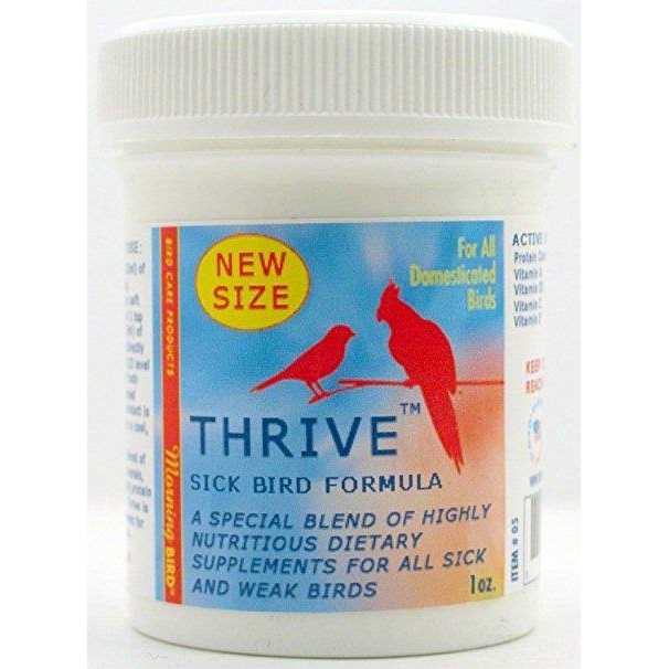 Morning Bird Thrive - Nail Gallerys