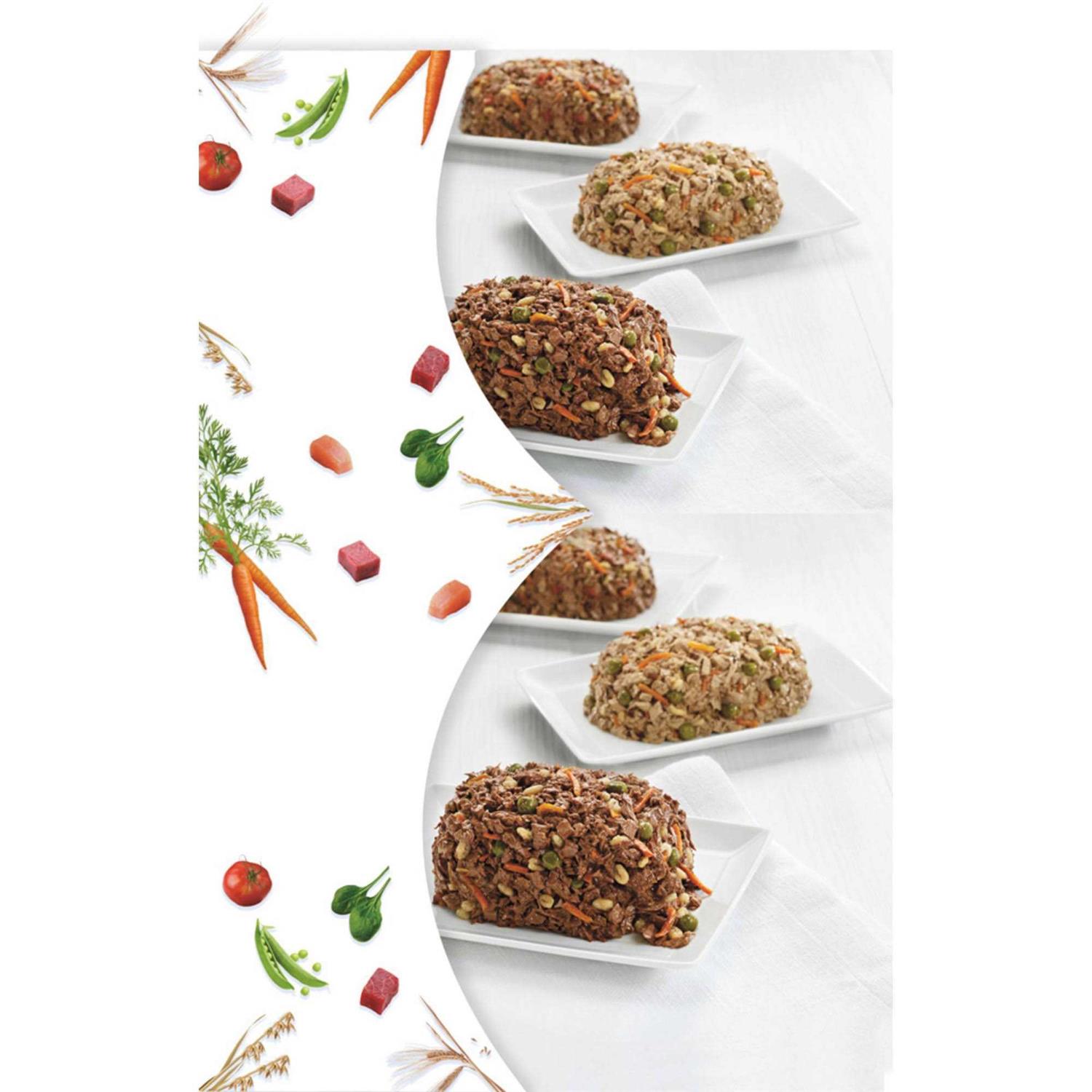 Purina Beneful Chopped Blends Variety Pack Wet Dog Food - Nail Gallerys