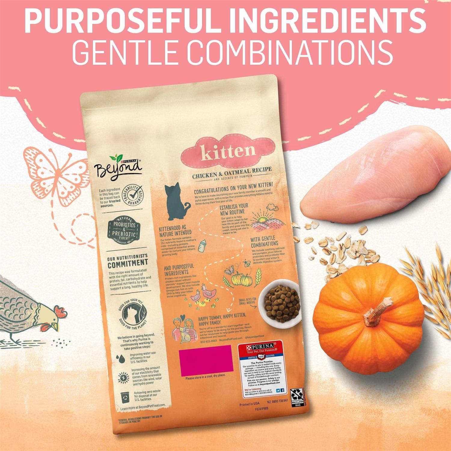 Purina Beyond Natural Kitten Food Chicken & Oatmeal - Nail Gallerys
