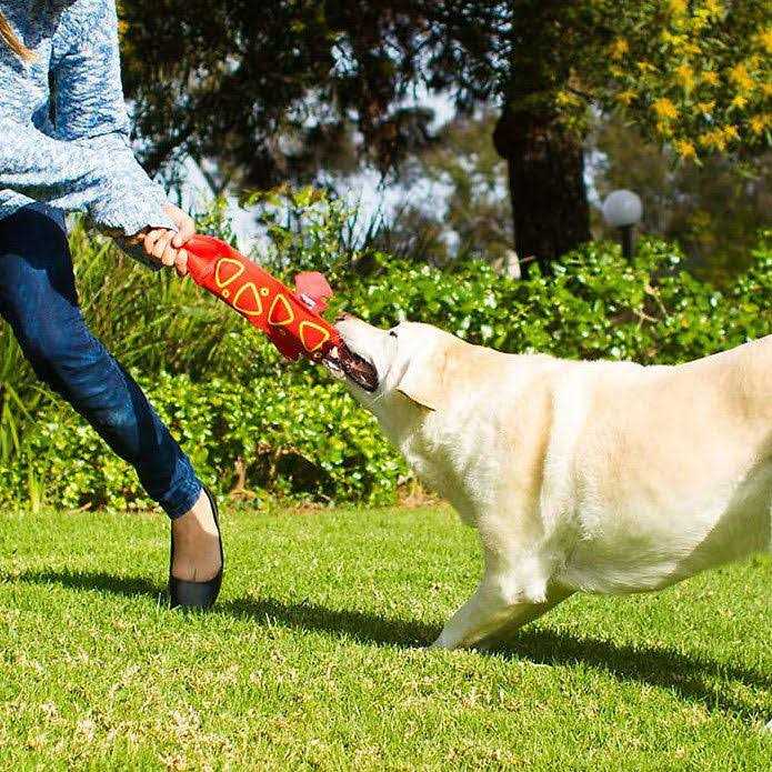 Outward Hound Fire Biterz Dog Toy Lizard - Nail Gallerys