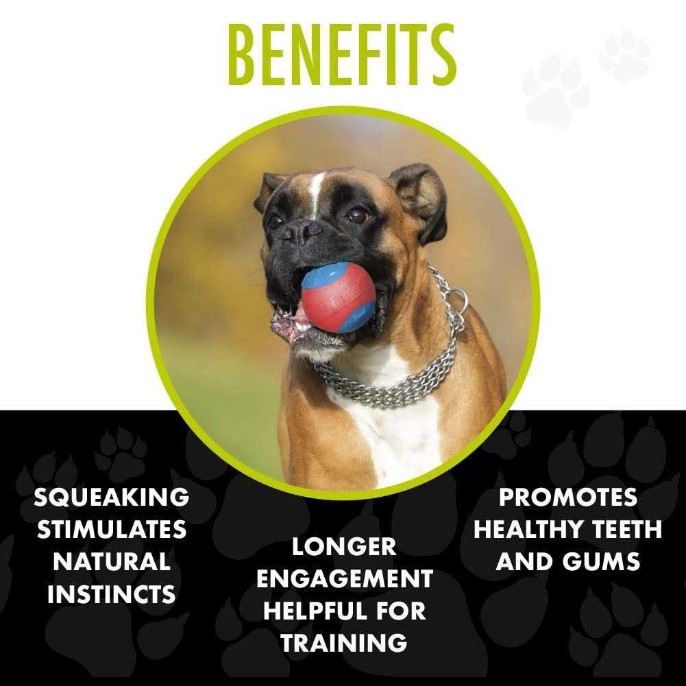 Hero Outer Armor Ball Dog Toy - Nail Gallerys