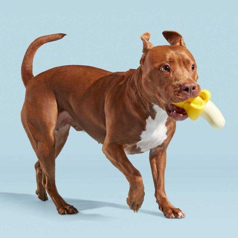 BARK Brawnana Super Chewer Dog Toy - Nail Gallerys