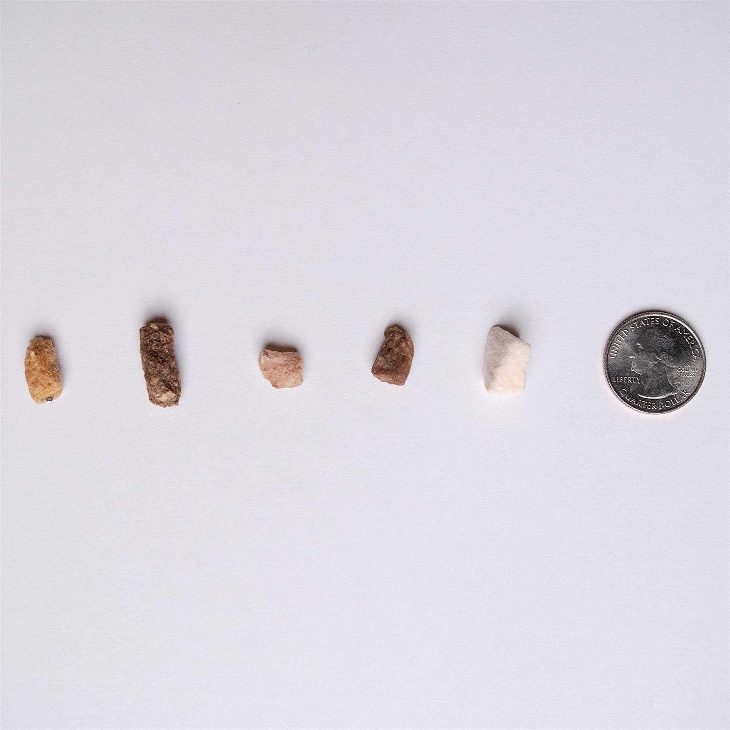 Pupford Freeze Dried Training Dog Treats - Nail Gallerys