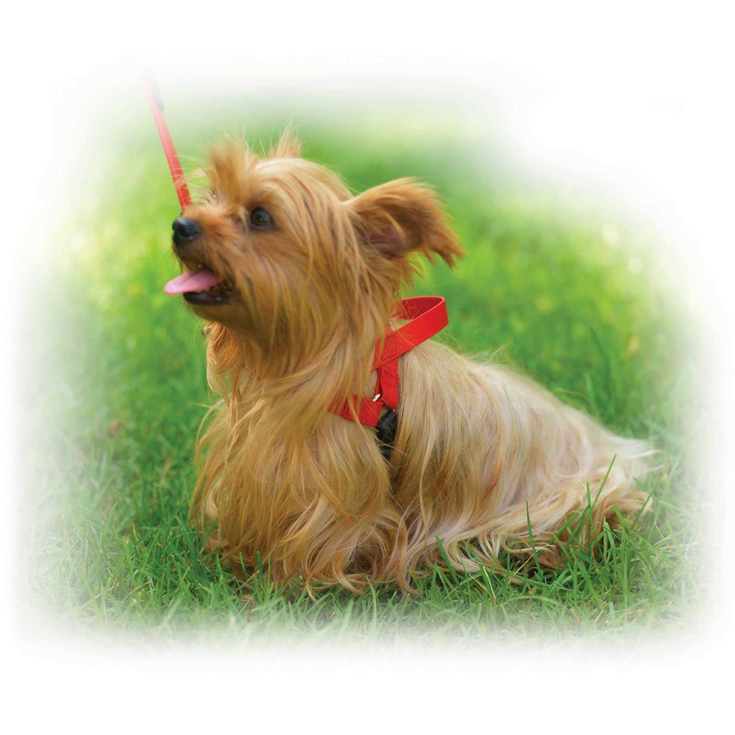 Ultrahund Freedom Harness - Nail Gallerys