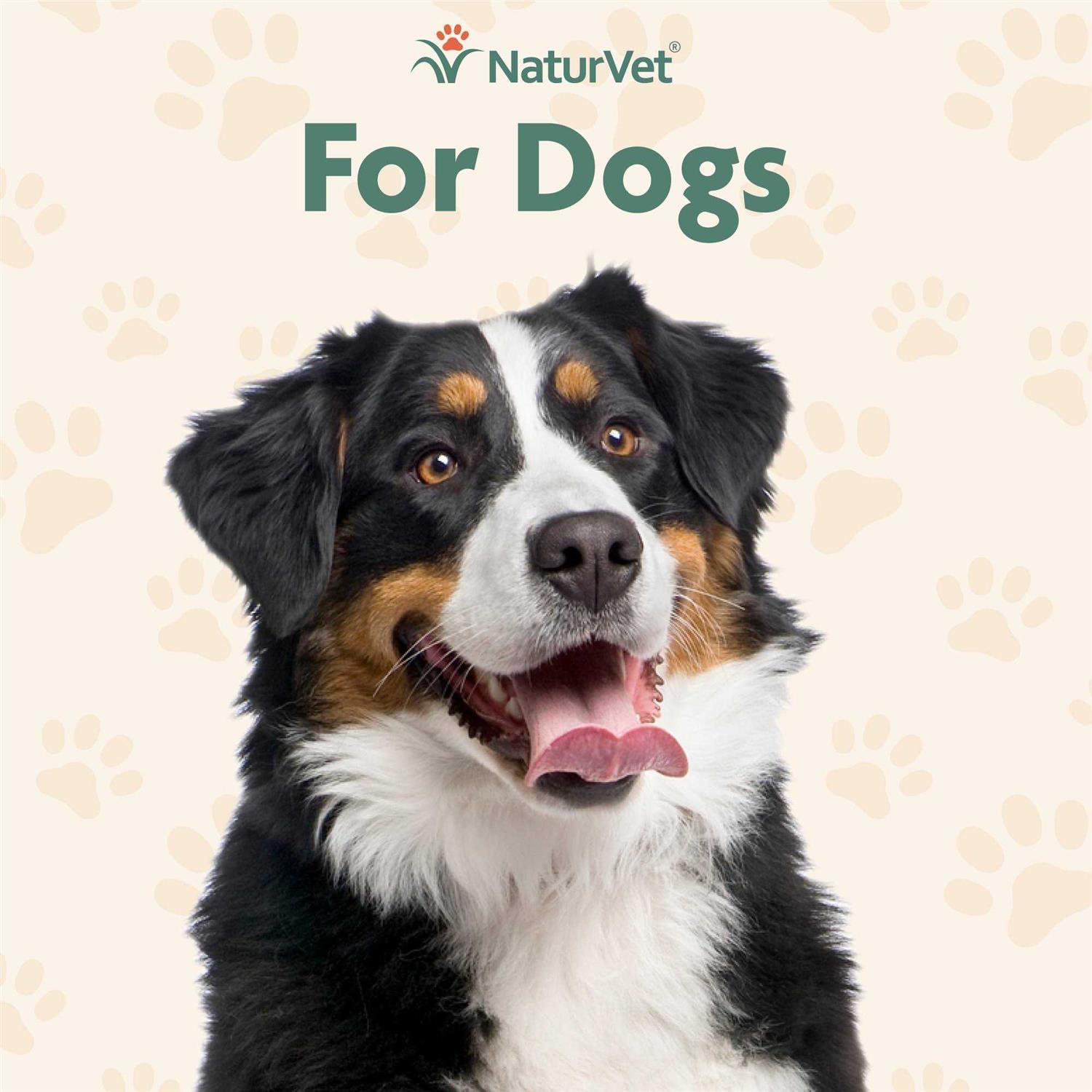 NaturVet Off Limits Training Spray - Nail Gallerys
