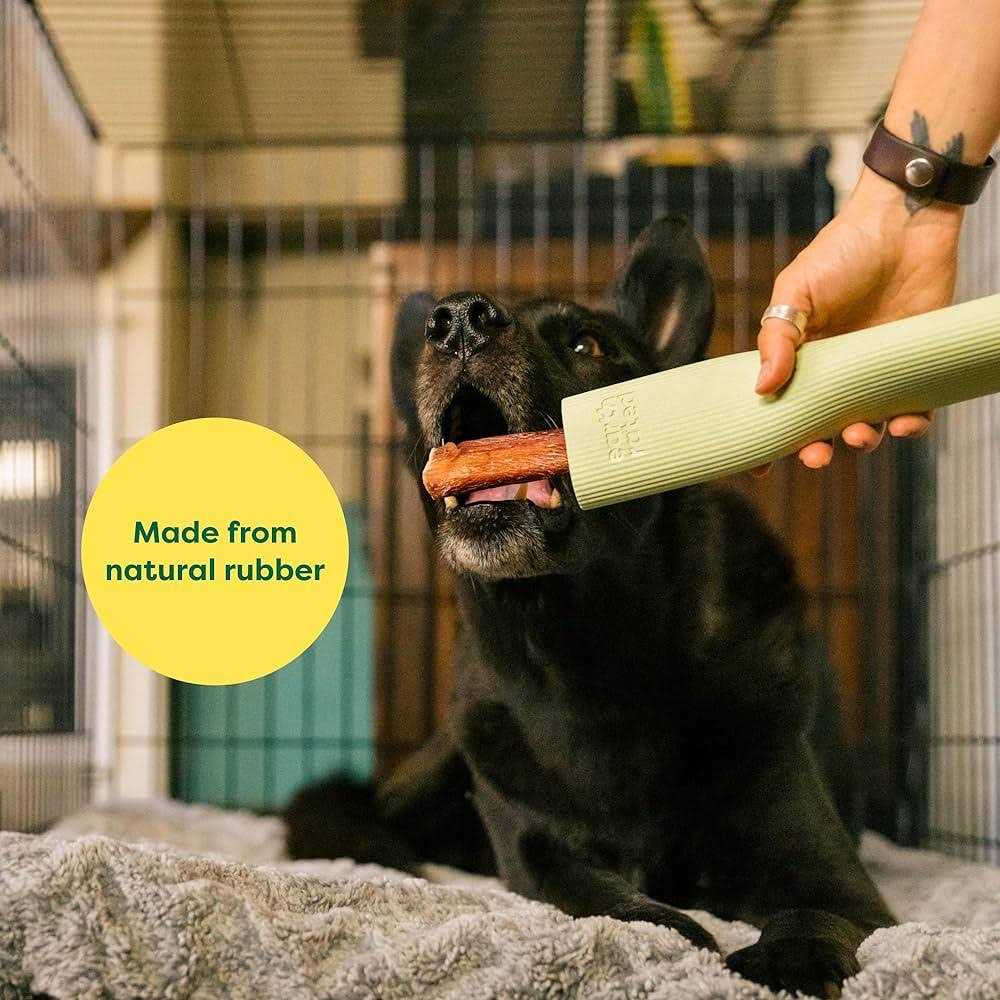 Earth Rated Rubber Chew Dog Toy - Nail Gallerys