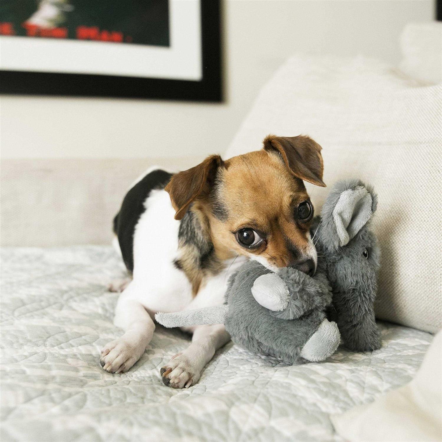 KONG Comfort Kiddos Elephant Dog Toy - Nail Gallerys