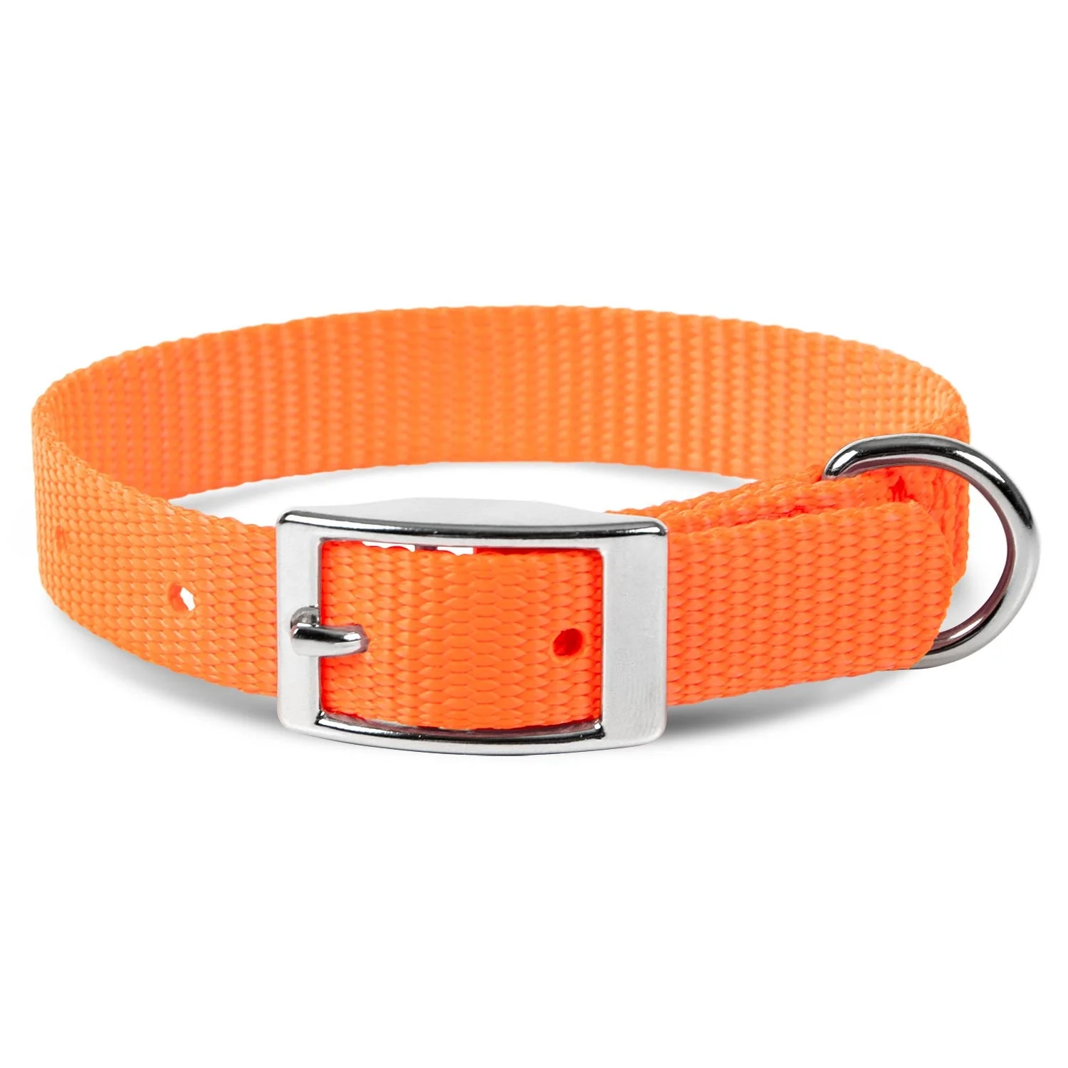 Web Nylon Dog Collar, 5/8