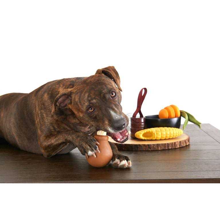 Barkbox Super Chewer Tough Dog Toys - Nail Gallerys