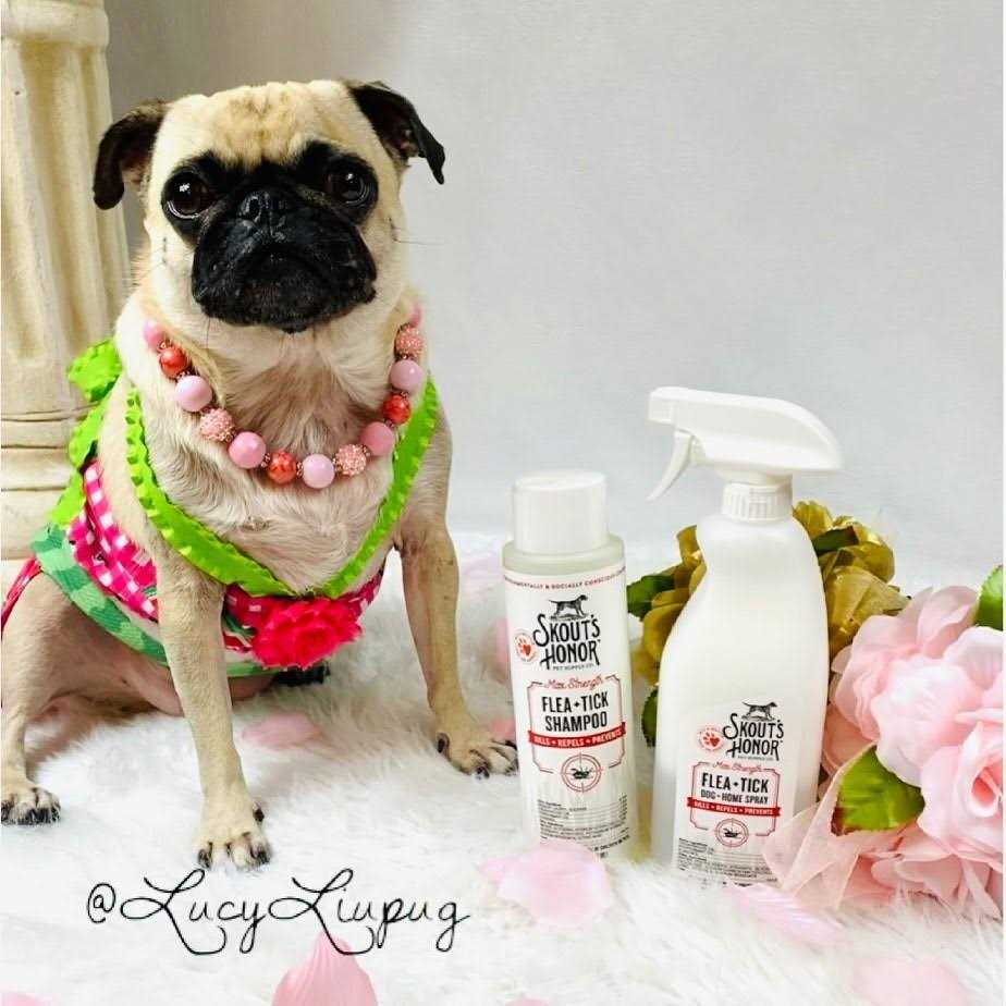 Skout’s Honor Flea & Tick Shampoo - Nail Gallerys