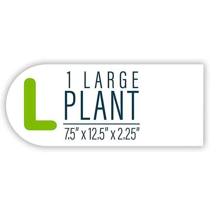 GloFish Aquarium Plant Mangrove - Nail Gallerys