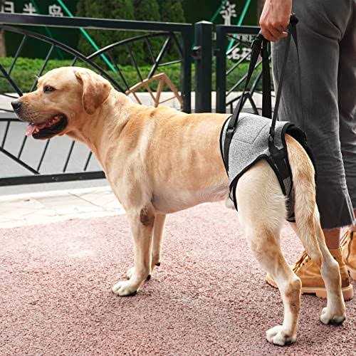 Dotoner Dog Sling for Large Dogs Hind Leg Support to Help Rehabilitate The Hind Limbs of Elderly Dogs with Weak Hind Legs Disabilities and Injuries - Nail Gallerys
