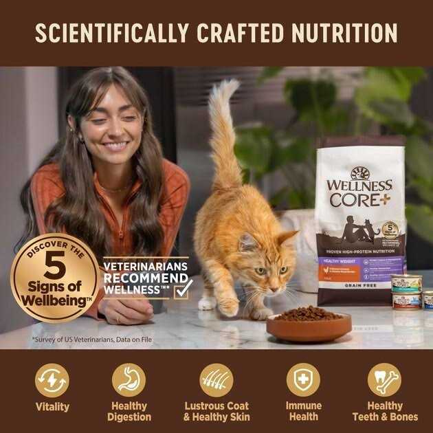 Wellness CORE Digestive Health Chicken & Turkey Pate Variety Pack Wet Cat Food - Nail Gallerys