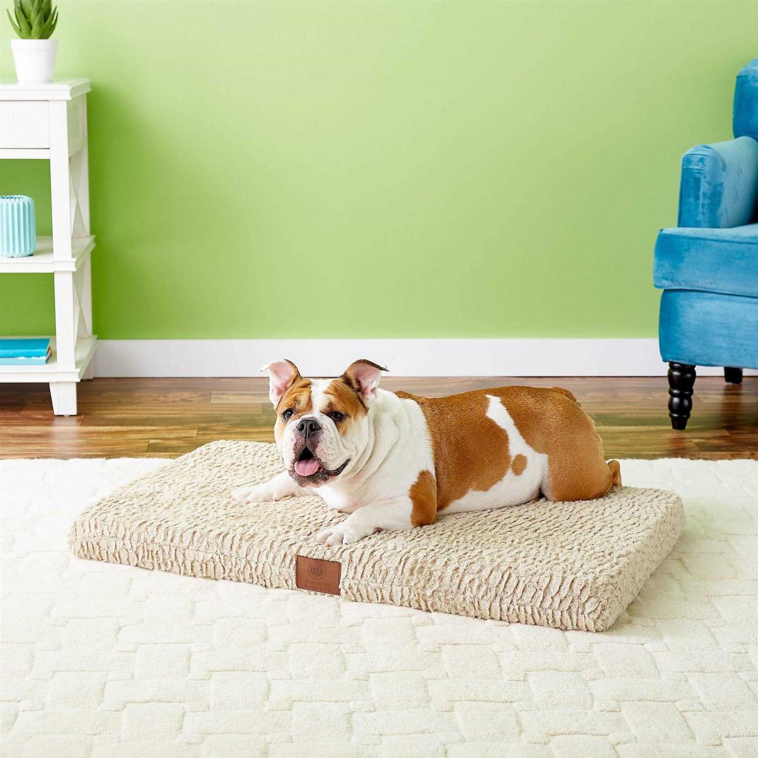 American Kennel Club Orthopedic Dog Crate Mat - Nail Gallerys