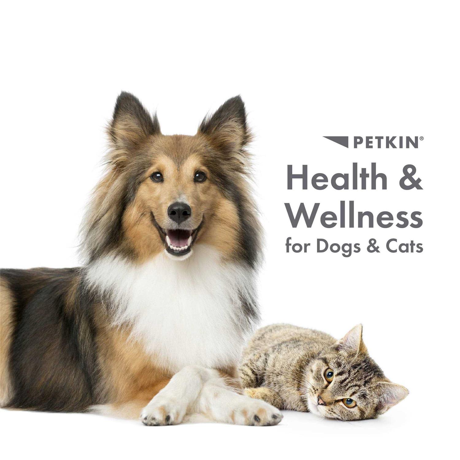 Petkin Fingertip Tooth Wipes for Dogs and Cats 50 Finger Wipes - Nail Gallerys