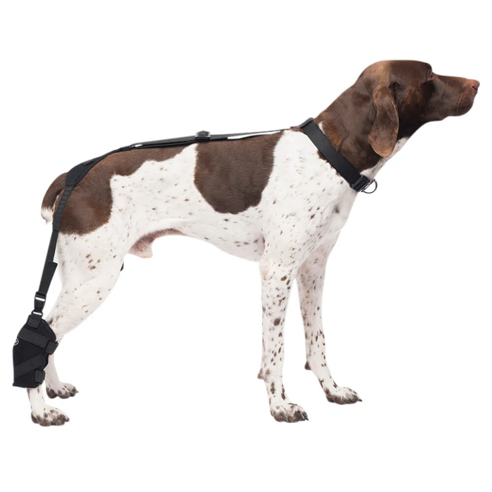 Caldera Pet Therapy Tarsal Wrap with Therapy Gel - Nail Gallerys