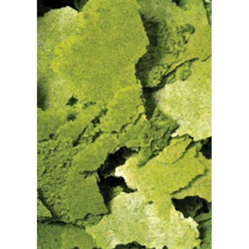 Ocean Nutrition Formula Two Flakes - Nail Gallerys