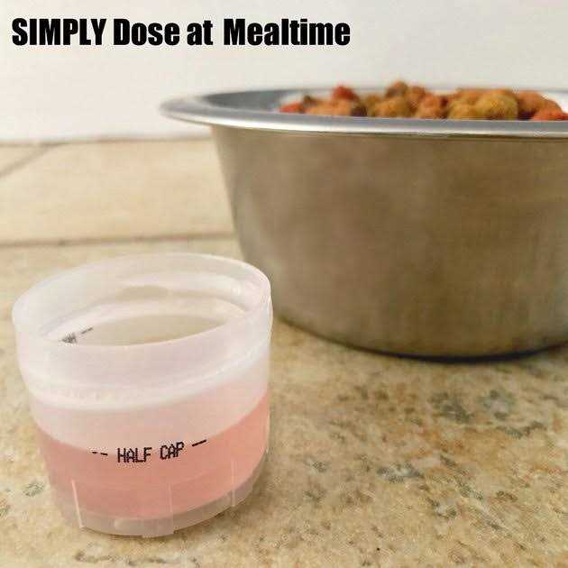 Liquid-Vet Itch and Allergy Support Dog Formula - Nail Gallerys