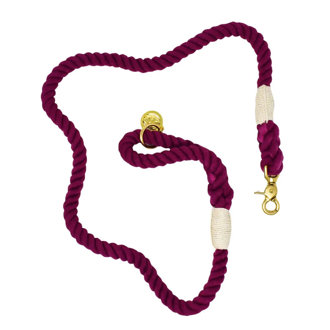 Pink Papyrus Rope Leash, 6ft - Nail Gallerys