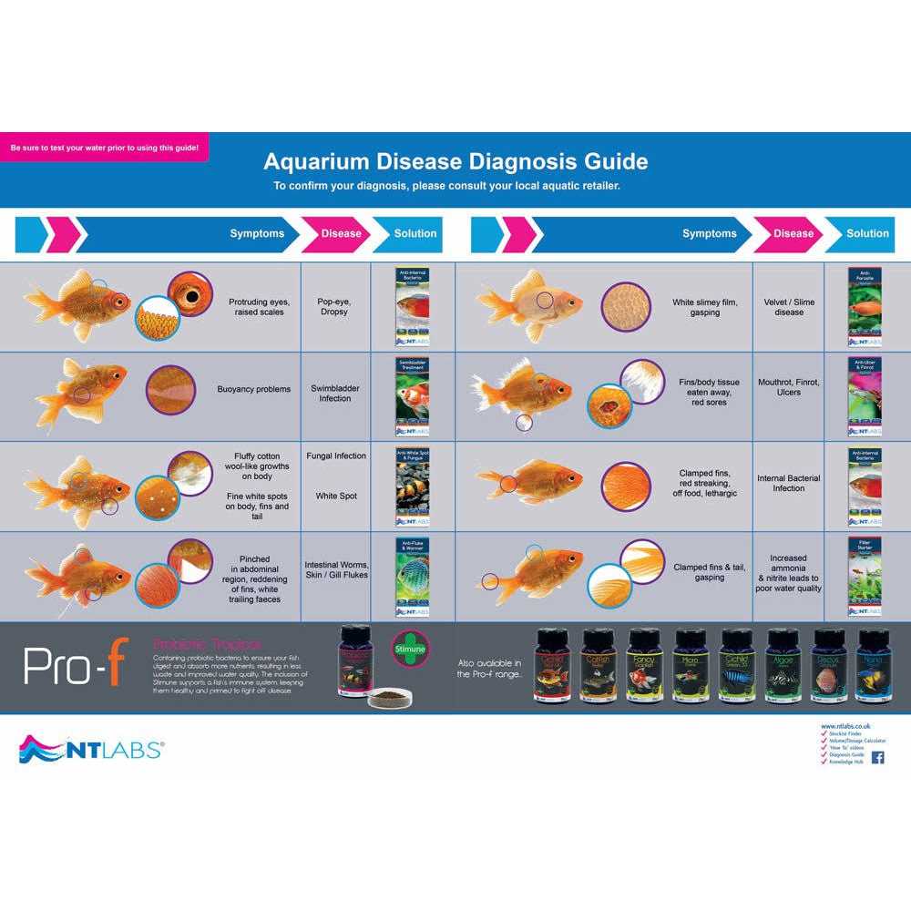 Ntlabs Swimbladder Contra problema vejiga 134 GR - Nail Gallerys