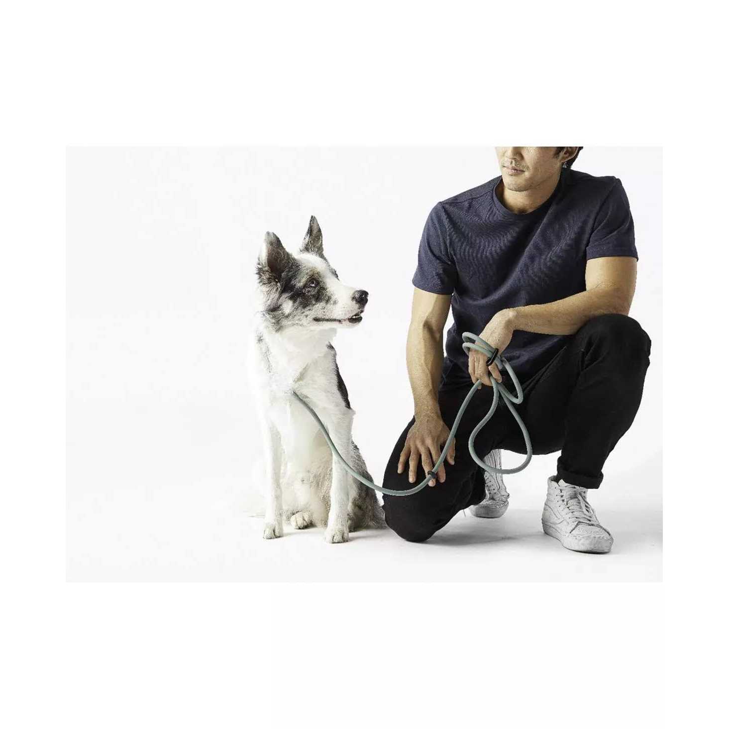 Fable Pets Magic Link Hands-Free Dog Leash - Nail Gallerys