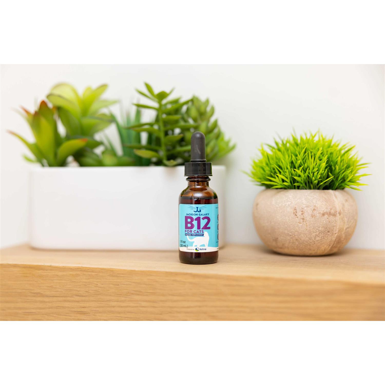 Jackson Galaxy B12 for Cats Dietary Supplement - Nail Gallerys