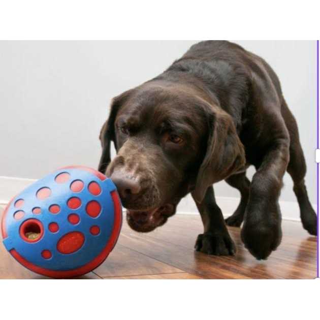 JW Pet Hol-ee Giggler Dog Toy - Nail Gallerys