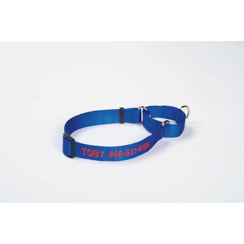 Orvis Dog’S Martingale Collar - Nail Gallerys