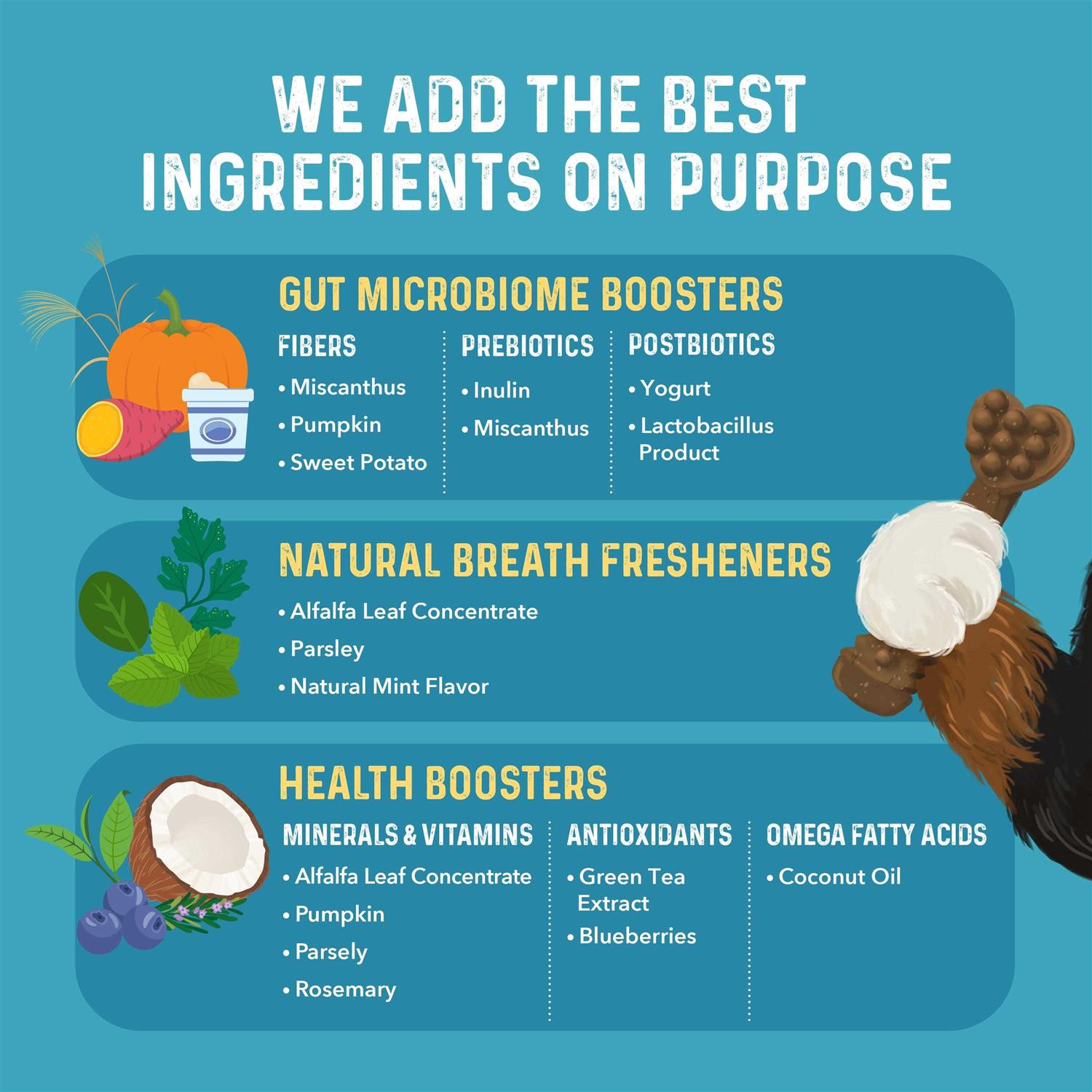 Bernie’s Charming Chompers Daily Dental Chews Dogs - Nail Gallerys