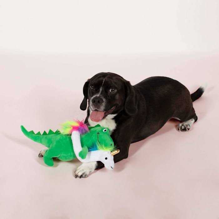 Fringe Studio Summa Time Rex-Plush Dog Toy - Nail Gallerys