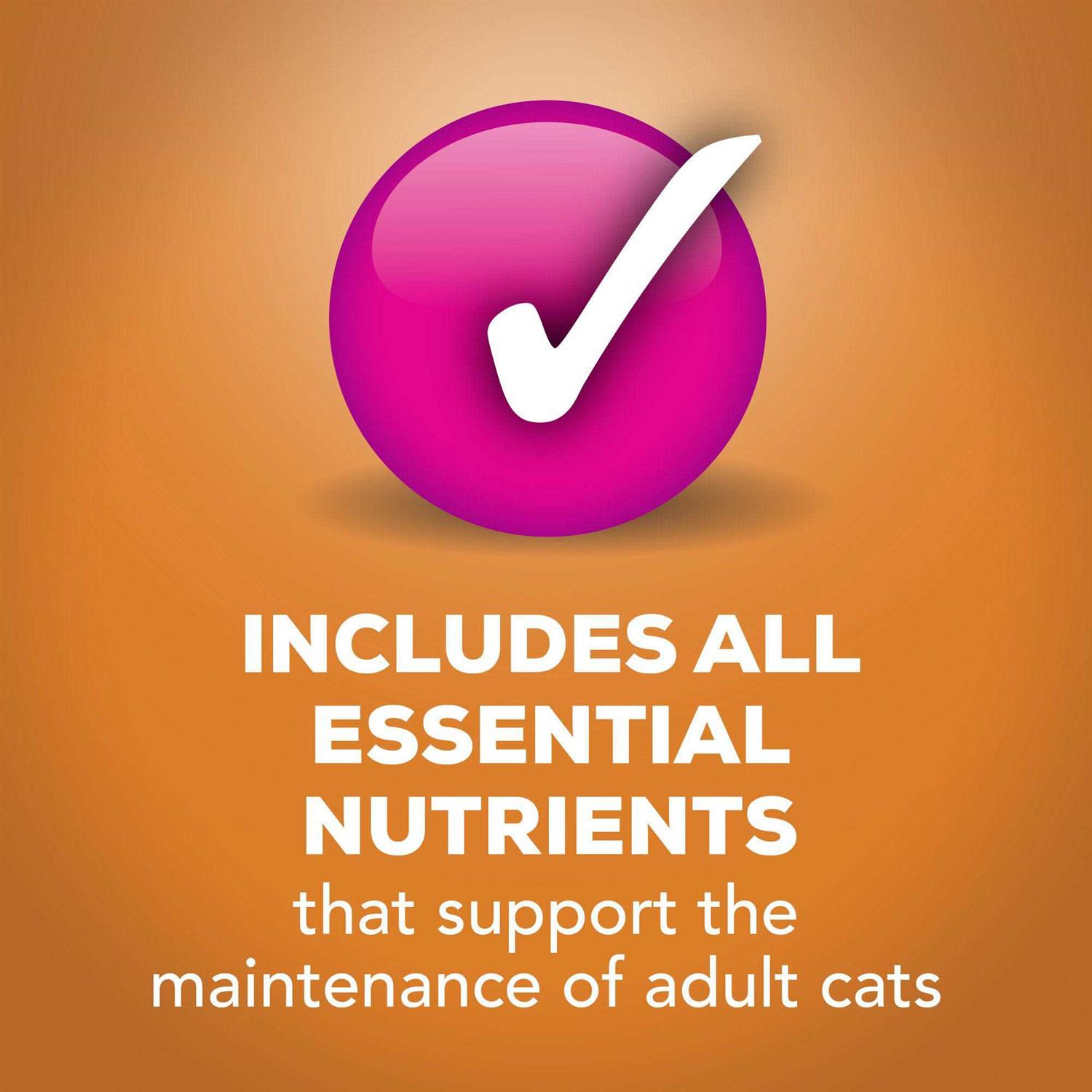 Purina Friskies Extra Gravy Pate Wet Cat Food Gravy - Nail Gallerys