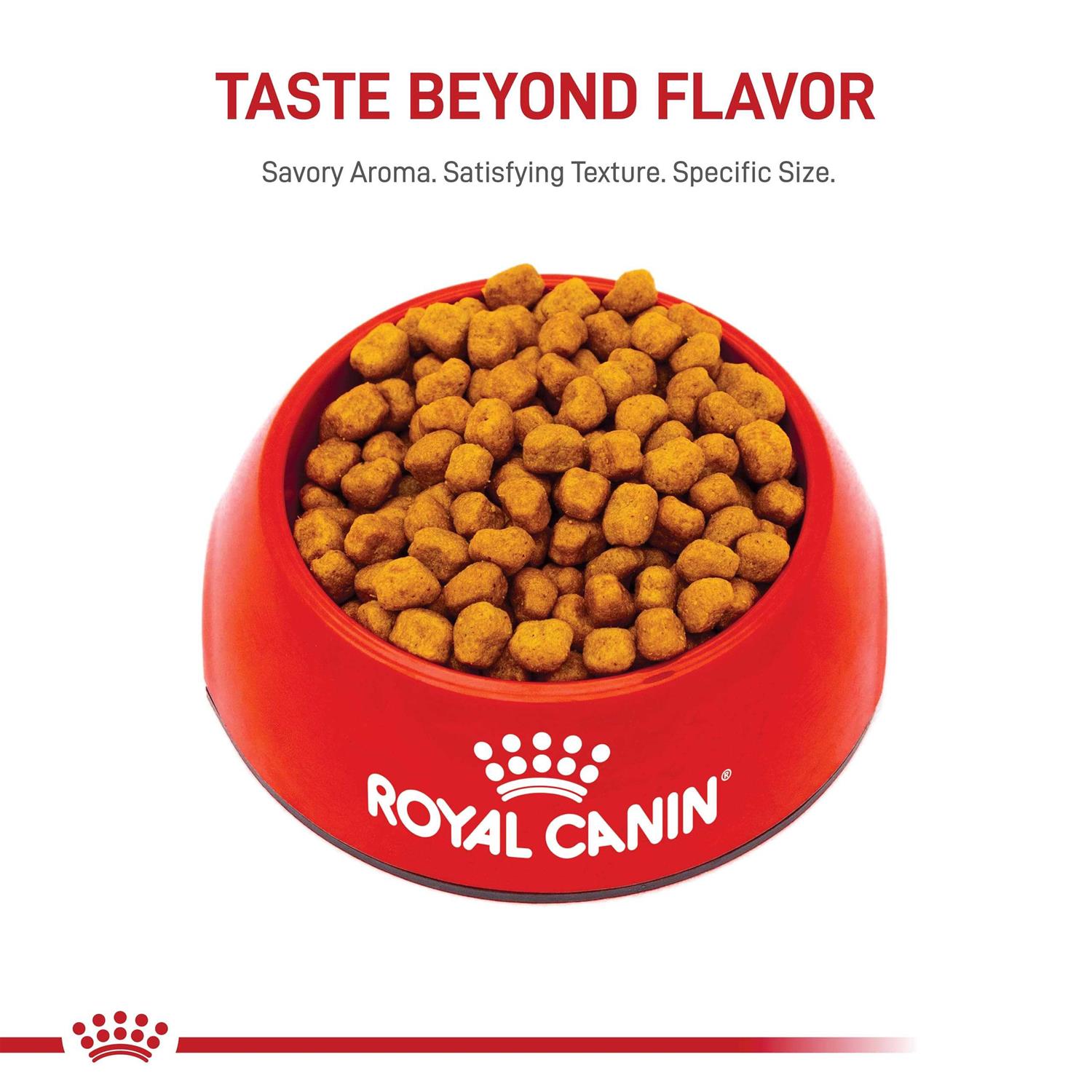Royal Canin Breed Shih Tzu Adult Dry Dog Food - Nail Gallerys