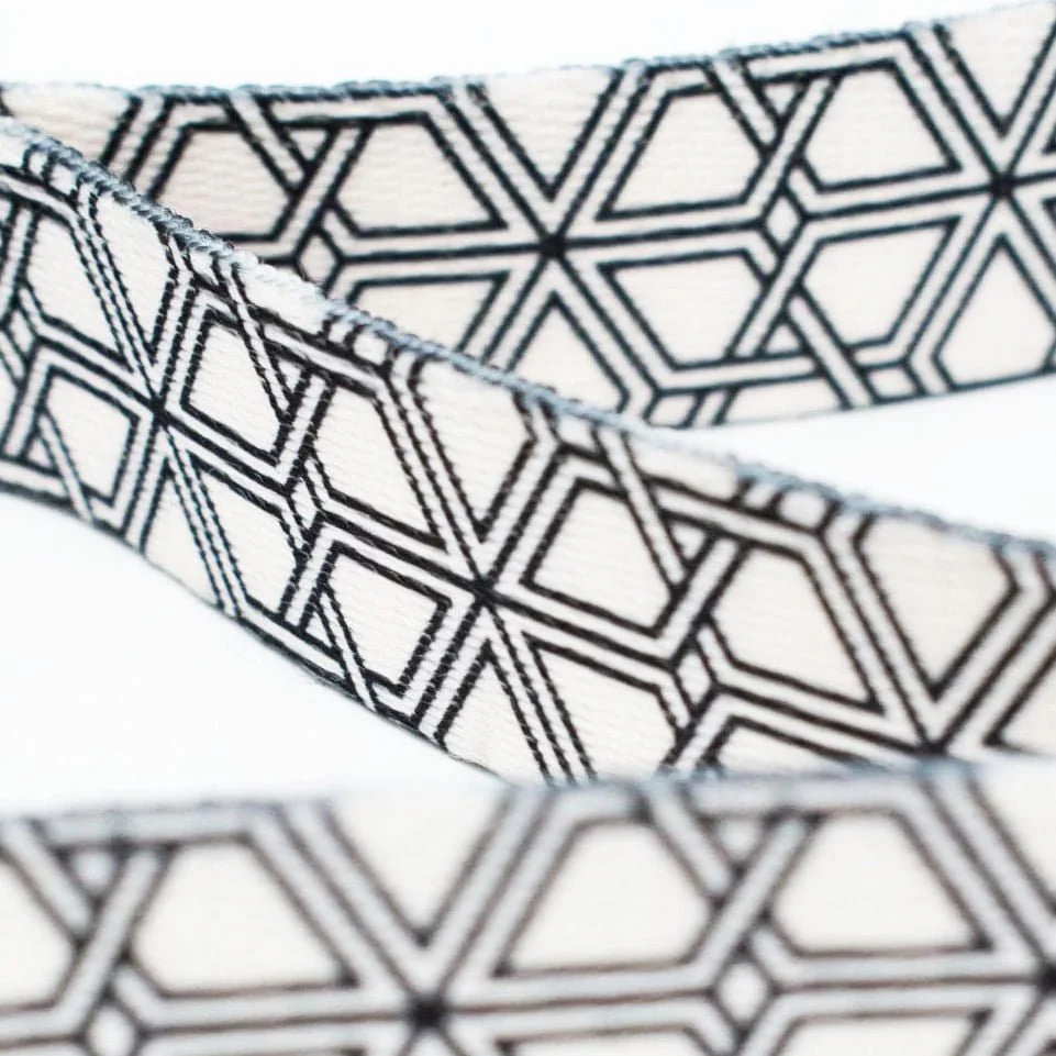 Pink Papyrus Avery Dog Leash, 6ft - Nail Gallerys