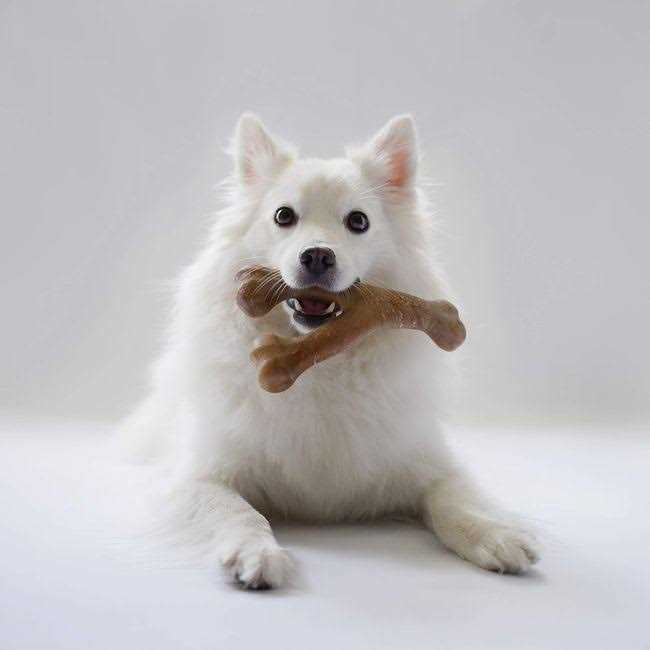 Lumabone Durable Chew Toys - Nail Gallerys