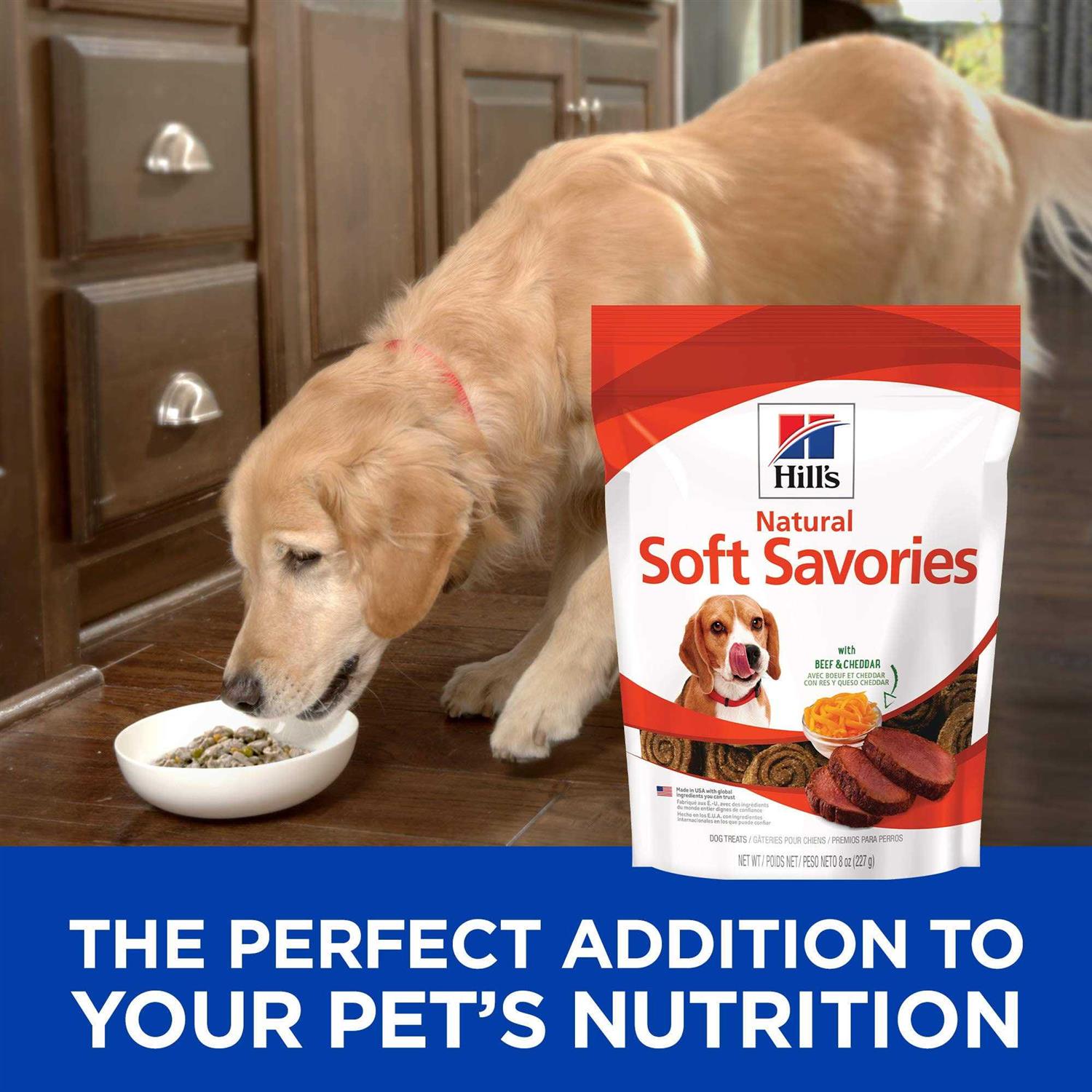 Hill’s Science Diet Soft Savories Beef & Cheddar Dog Treats - Nail Gallerys