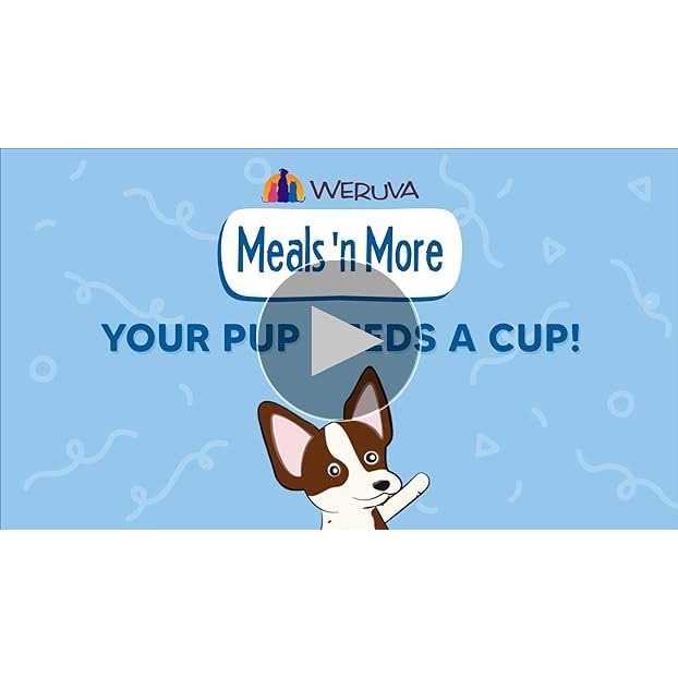 Weruva Dog Meals ‘n More Belly Belly Nice! Variety Pack - Nail Gallerys