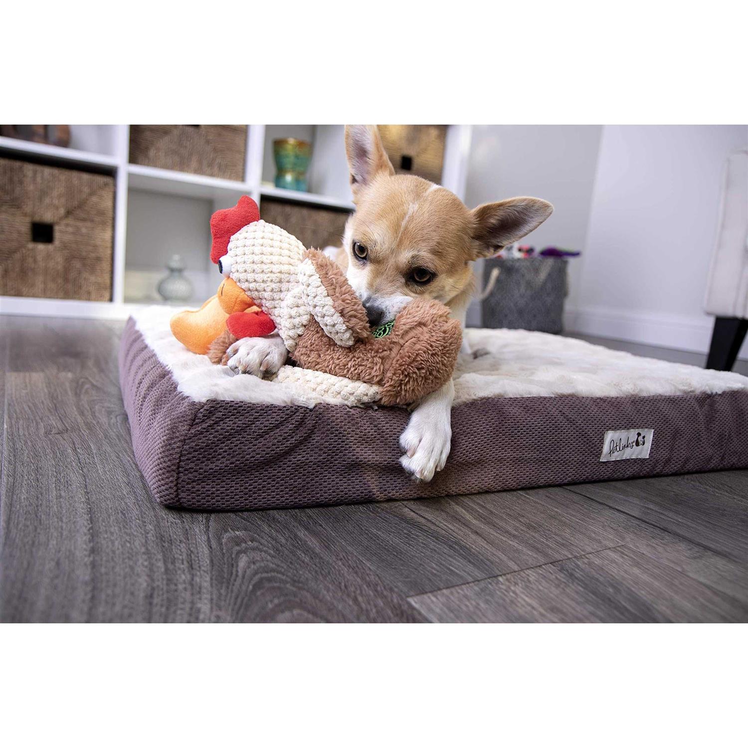 goDog Checkers Chew Guard Skinny Rooster Dog Toy - Nail Gallerys