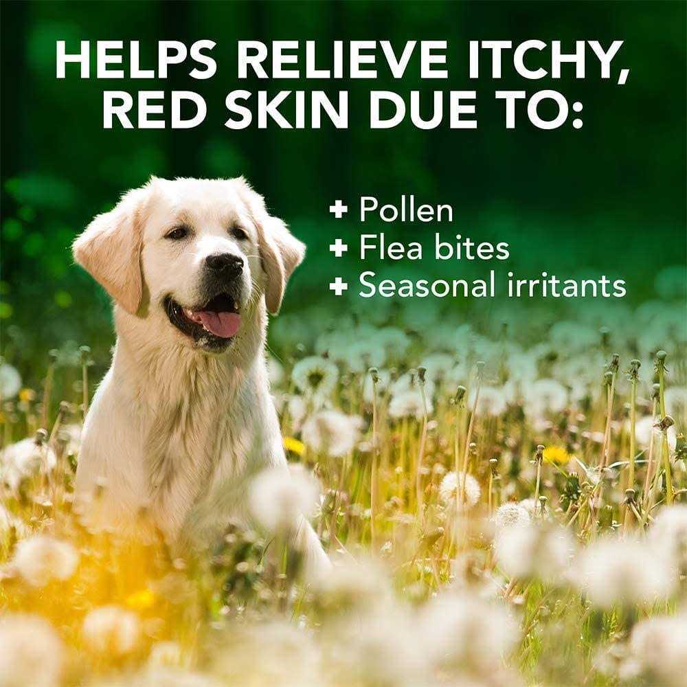 Vet’s Best Allergy Itch Relief Shampoo - Nail Gallerys