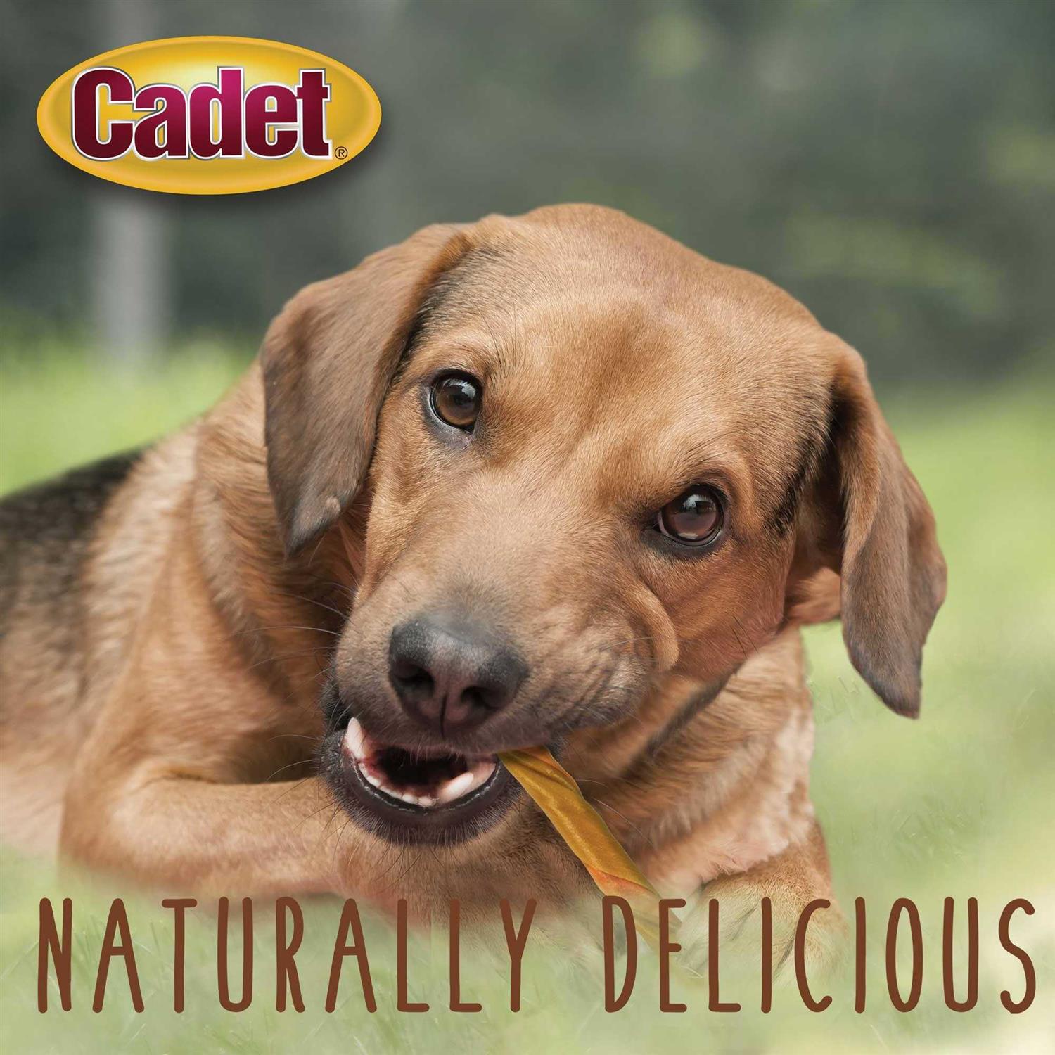Cadet Choice Chews Peanut Butter Twists Dog Treats - Nail Gallerys