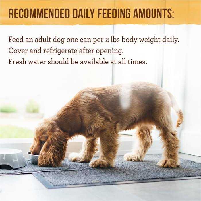 Merrick Pet Care Grain Free Dinner Lil’ Plates Petite Pates Adult Wet Dog Food - Nail Gallerys