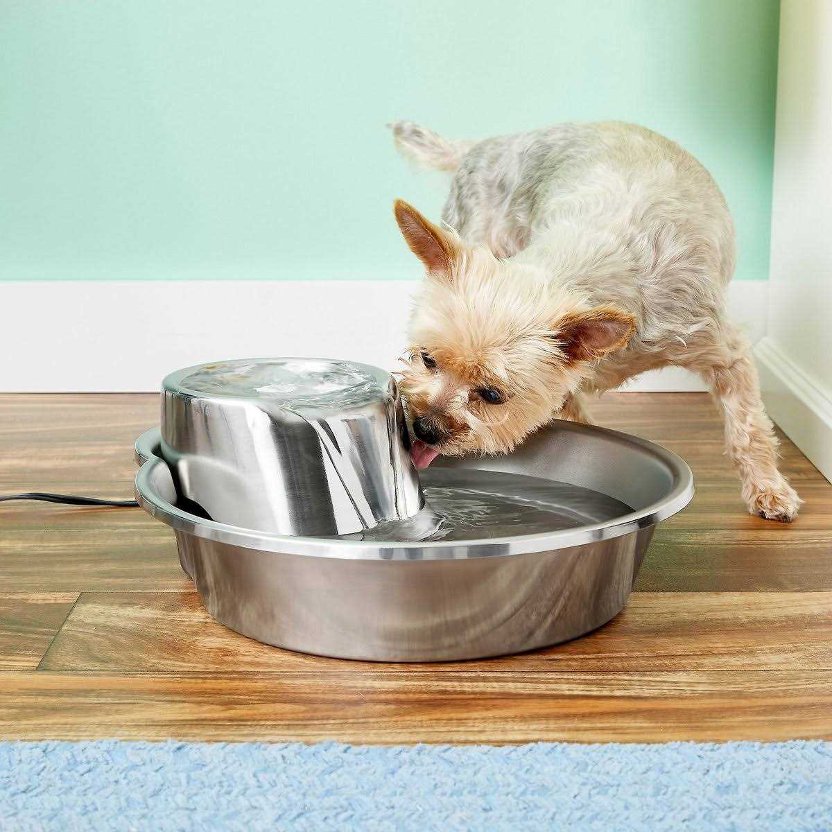 Pioneer Pet Big Max Stainless Steel Fountain - Nail Gallerys