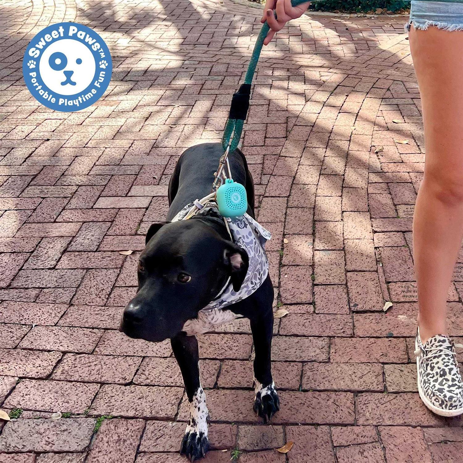 Sweet Paws Perfect Paws Portable Dog Towel - Nail Gallerys