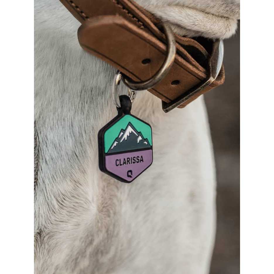 QALO customized Silicone Dog ID Tag - Nail Gallerys