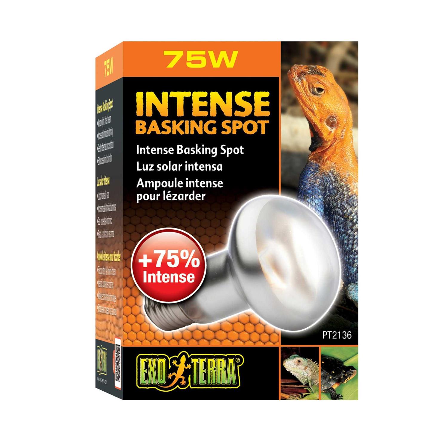 Exo Terra Intense Basking Spot - Nail Gallerys