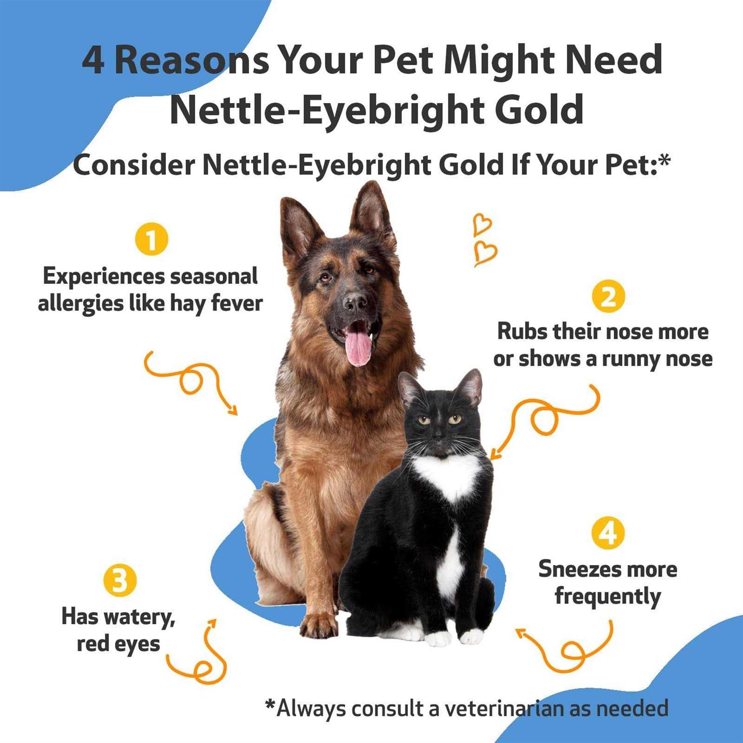 Pet Wellbeing Nettle Eyebright Gold for Dogs - Nail Gallerys