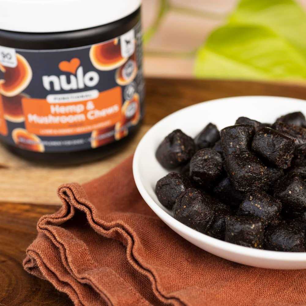 Nulo Functional Hemp & Mushroom Soft Chew Dog Supplement - Nail Gallerys