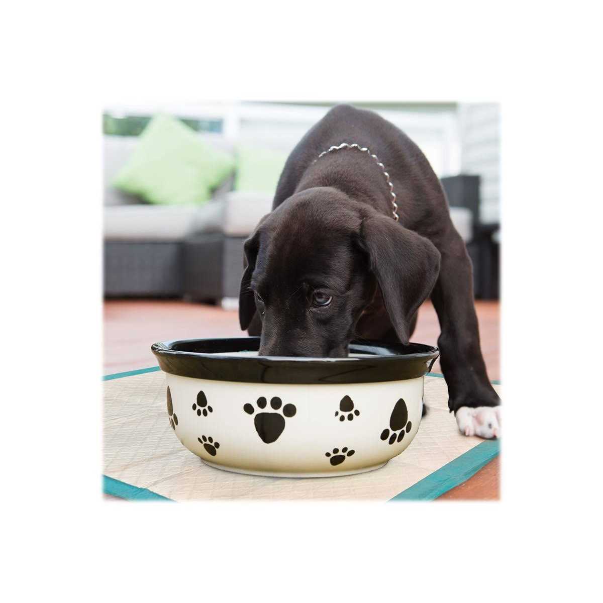 Simple Solution Dog Training Pads - Nail Gallerys