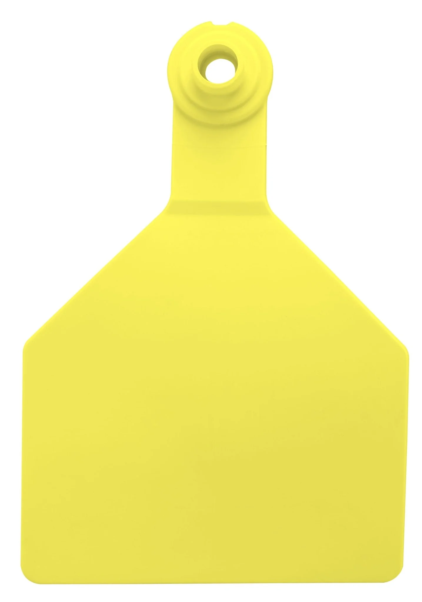 Special Order Z2 Tags - Stockman 2-Piece Blank Tags, 25 ct - Nail Gallerys