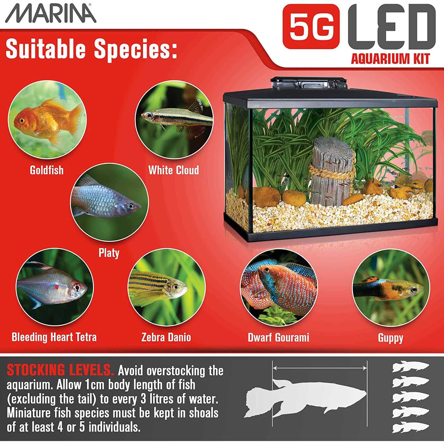 Marina 5G LED Glass Aquarium Kit - Nail Gallerys
