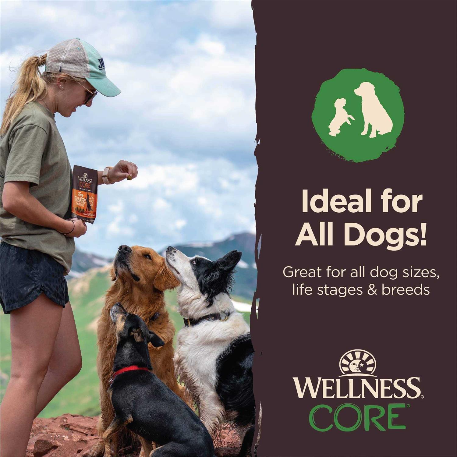 Wellness Core Tiny Trainers Tender Dog Treats - Nail Gallerys